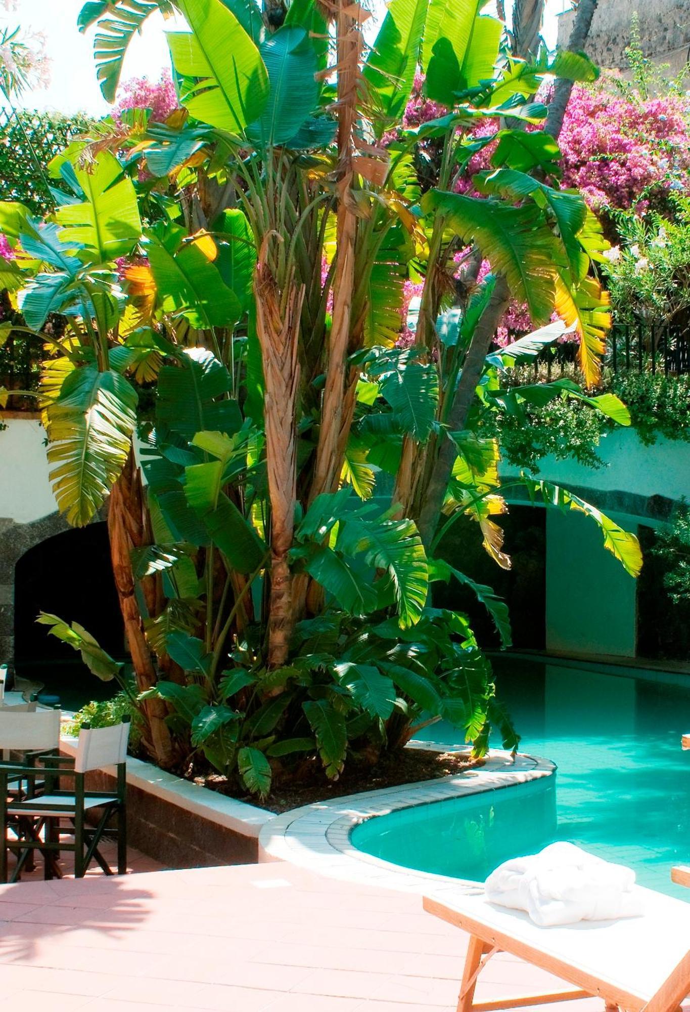 Hotel La Villarosa Terme Ischia